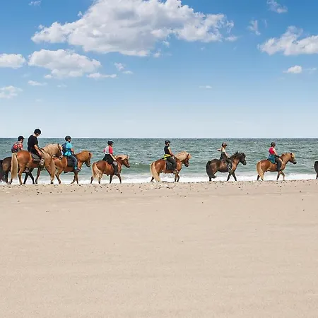 Cozy In With Kitchen * هِنستهولم